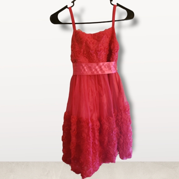 Bonnie Jean Other - Bonnie Jean Dress 12